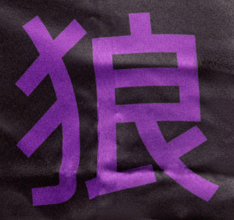 OKAMI Fight Shorts Competition Team Purple